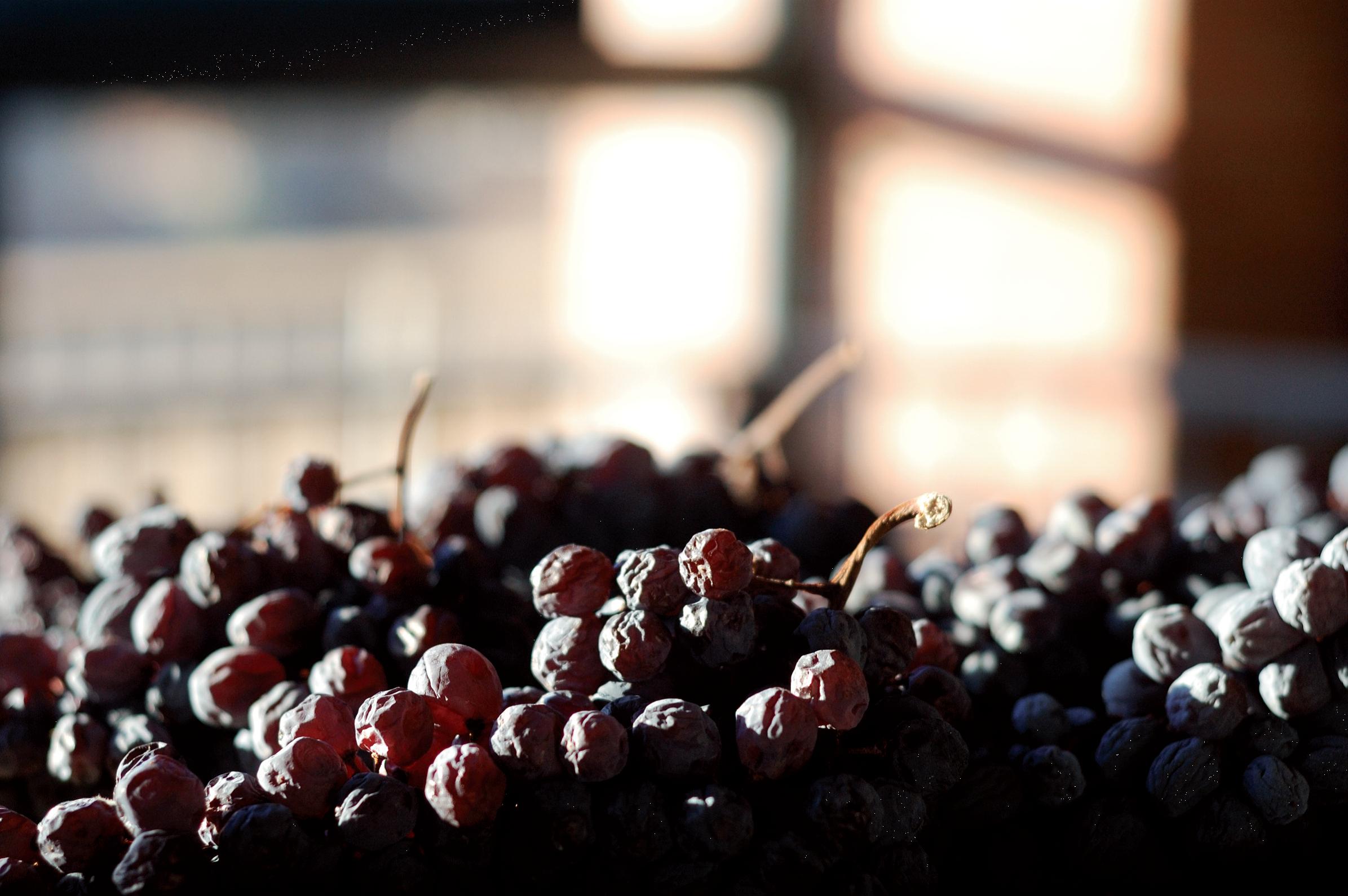 Amarone Trauben während der Trocknung