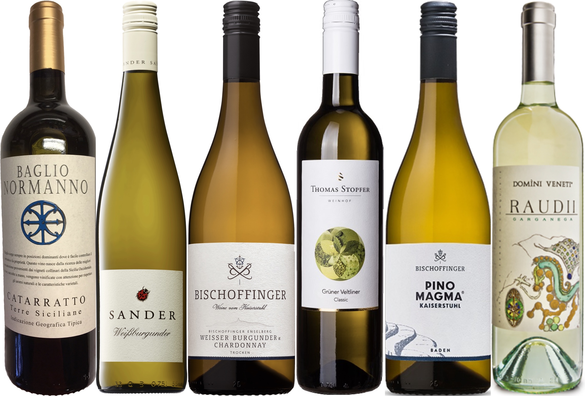 Weißweine : Weißwein in Perfektion - Weißwein-ProbierPaket 6x 0,75 l